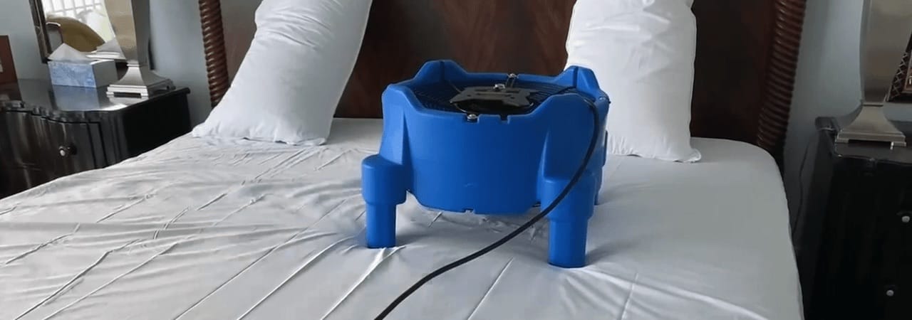 Bed bug heat treatment